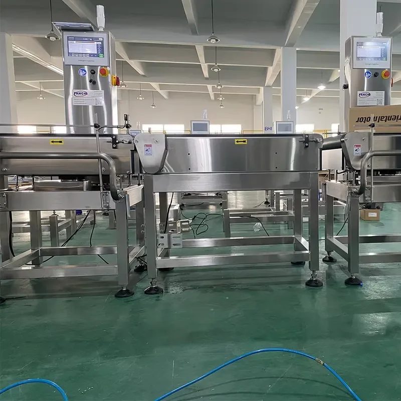 Heavy Checkweigher for Shipping Case Weight Checker for Large Bag Checkweigher with Heavy Pusher