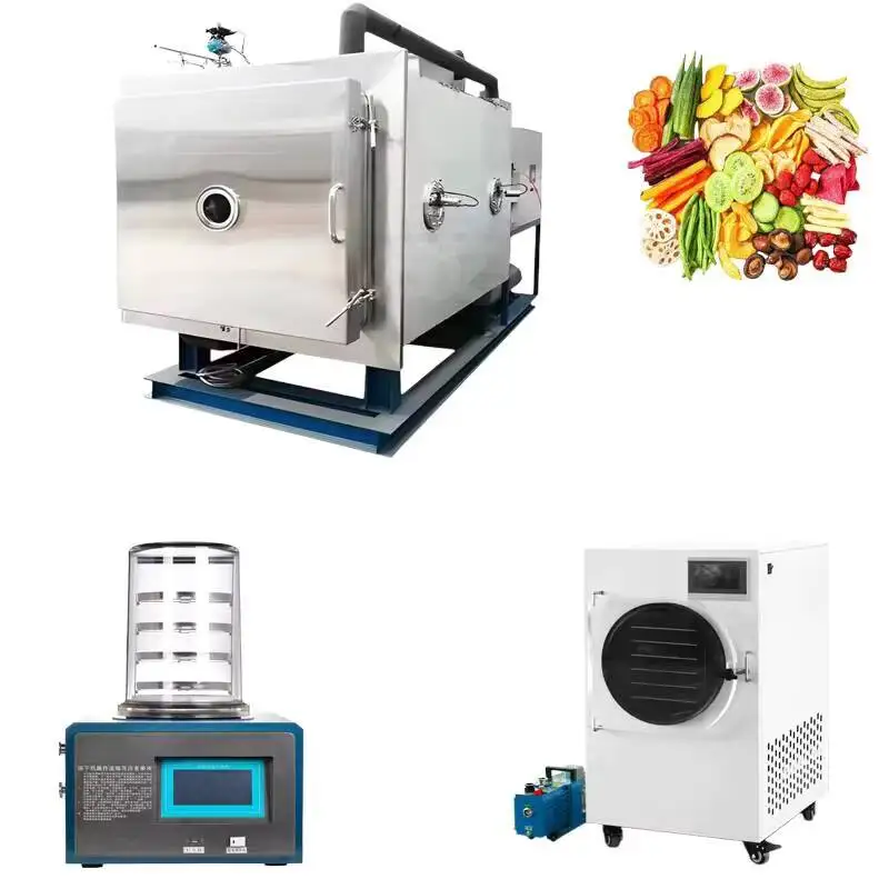

Senova/scientz/repair/portable Mini/pilot Size Household Oil-free Freeze Dryer Pet Food Freeze-drying Equipment