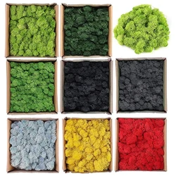 Artificial Green Plants Eternal Life Moss Grass Mini Landscape DIY Crafts Fake Grass for Garden Home Hotel Decoration 60/100g