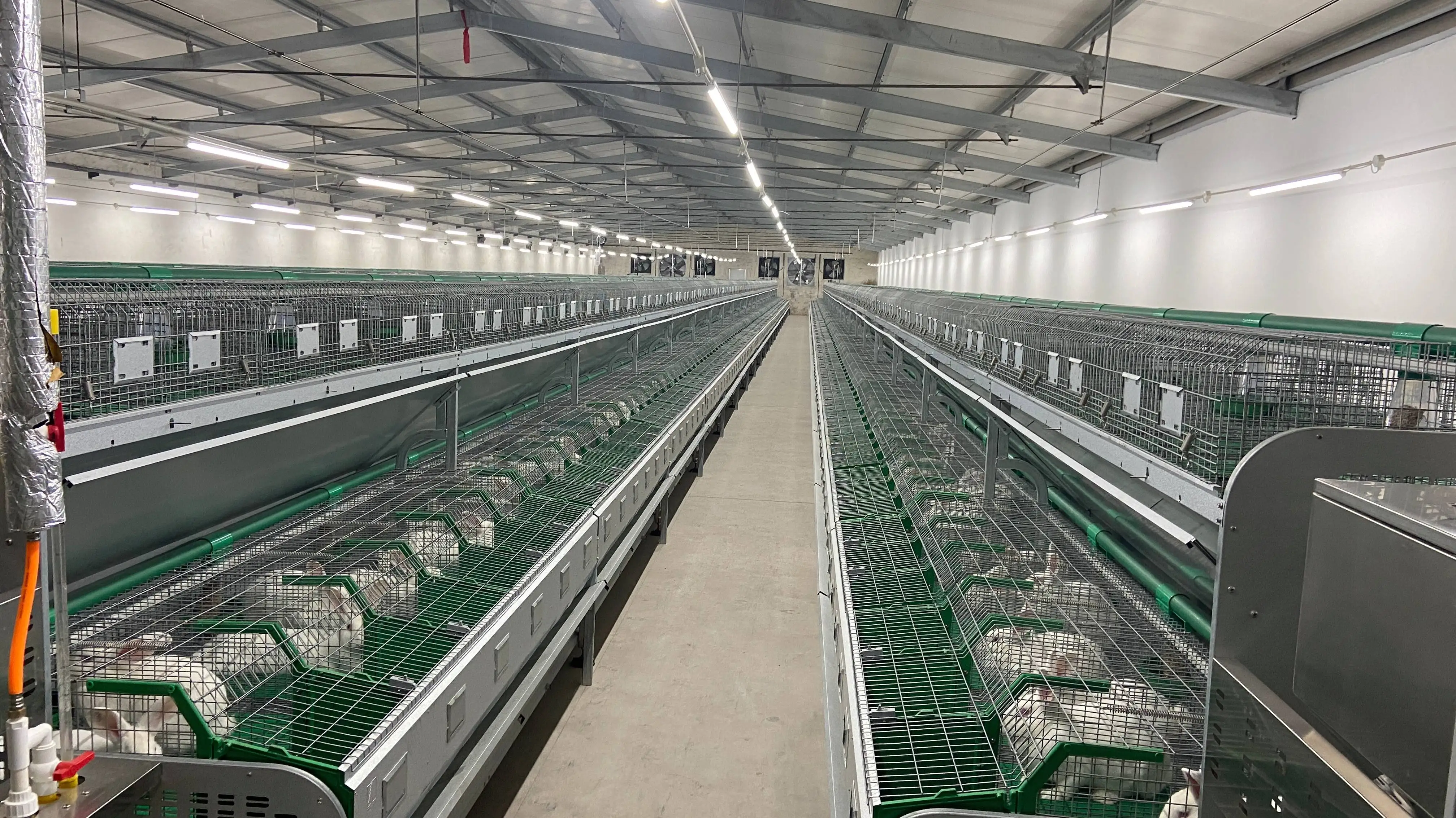 New KangFa KF-R Commercial Breeding Rabbit Farm Cages Automatic Manure Cleaning Hot Dipped Galvanized 48 Capacity 15-20 Year
