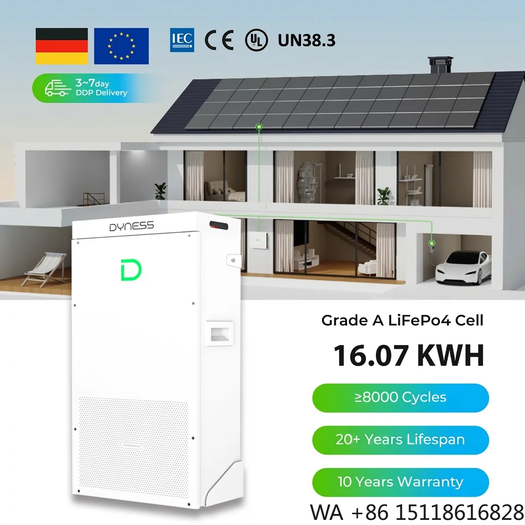 Dyness Powerbrick 16KWH Lithium Battery home Solar Storage 51.2v 314ah Lifepo4 8000 Cycle Heated match for solis inverter