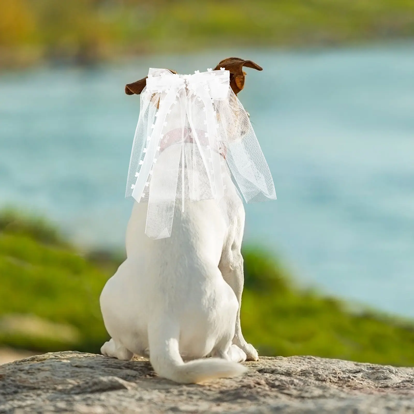 

Pet Wedding Veil Bridal Dog Accessories Cute Bow Knot Spring Summer Pet Veil Decor Headdress Costume