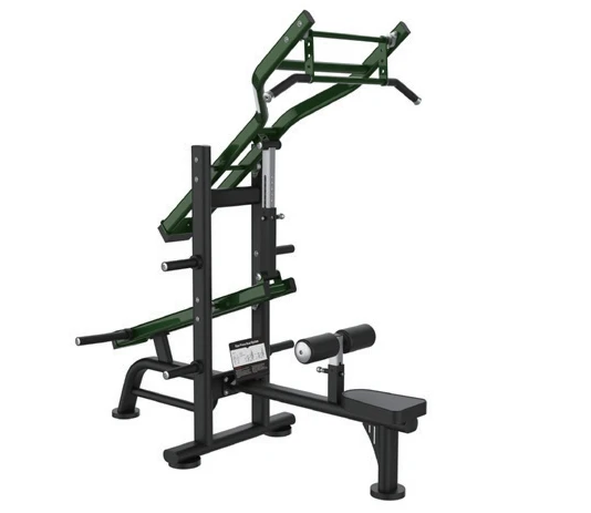 

Lat Pulldown and Triceps Dip Machine Dual Function Gym Equipment