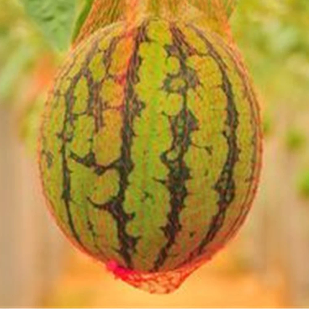 

100 PCS Net-dog Melon Bag Watermelon Portable Shopping Outdoor Fruit Handbag Storage