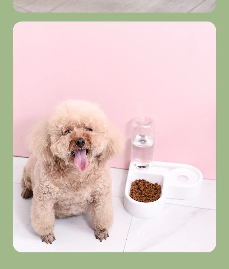 وحدة تغذية للقطط، حوض للكلاب والقطط، مزود بوعاء موزع مياه، وأدوات إعادة التدوير الأوتوماتيكية، ومنتجات الحيوانات الأليفة العالمية
