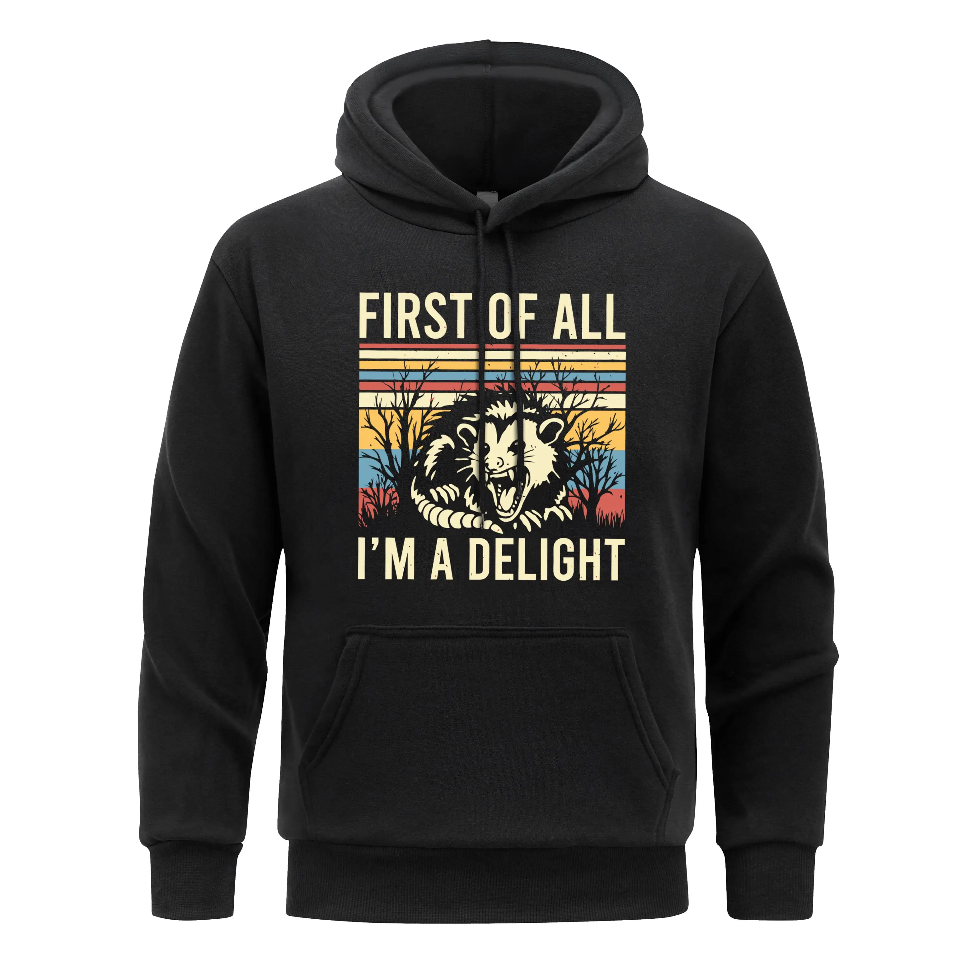 Animal Raccoon Men Hoody First Of All i'm A Delight Hooded Casual fur-liner Hoodie Man Fleece Spring Autumn Clothing