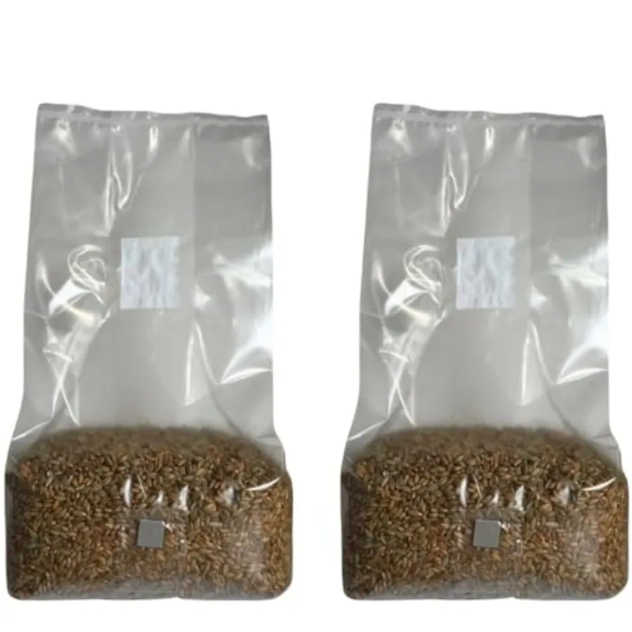 

5lb Organic Sterile Mushroom Grain Spawn for indoor cultivation, rye grain, tan, ready-to-inoculate with injector port grow bag