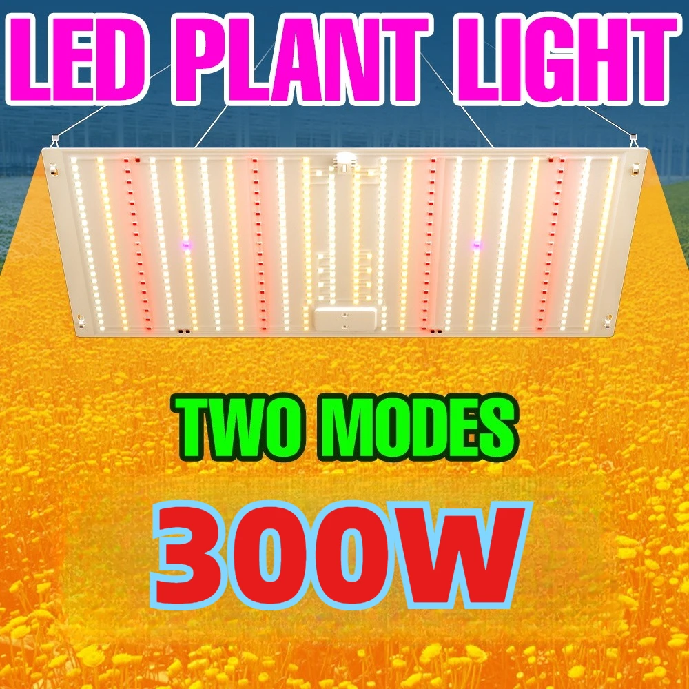 

300W LED Full Spectrum Grow Light Quantum Board Plant Cultivation Lamp Indoor Greenhouse Vegetables Moss Potted Fill Lighting