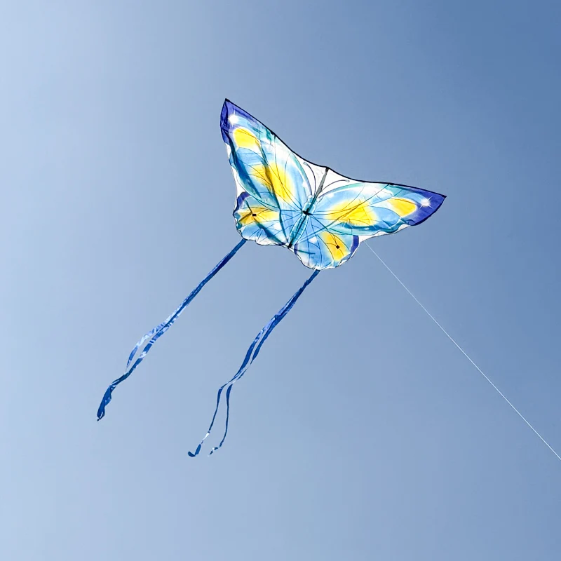 Outdoor Fun 1,4 m Napiic vlinderdrager met 1,8 m staart en 50 m handvatlijn Buitenspeelgoed voor kinderen Insectenvlieger Buitensport