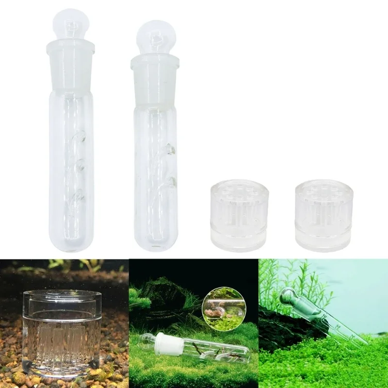 4pcs Easily to Use Planarian Trap for Aquariums Fish Tanks Maintaining Clean Fish Tanks Suitable for Aquariums Enthusiasts