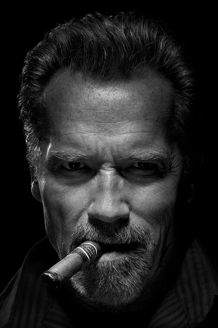 Arnold Schwarzenegger with Cigar Actor, Art Picture Print Silk Poster, Home Wall Decor,aesthetic room decor