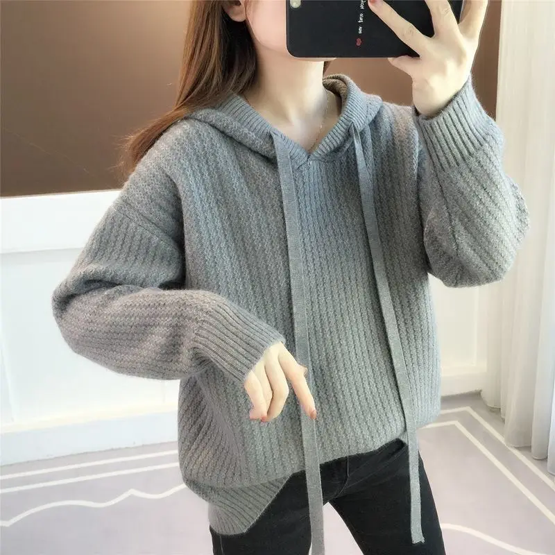 Harajuku Fashion Sweater Thick Hoodies Sweatshirt for Women Y2k Vintage Sport Sweat-shirt Dropshiping Designer Woman Hooded Tops