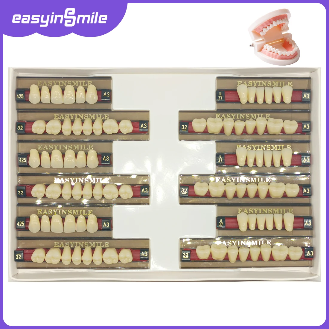 16/12 Sets Dental Resin Teeth Full Denture A1 A2 A3 Shade 2 layer acrylic Denture Anterior/Posterior Upper/Lower Education Model