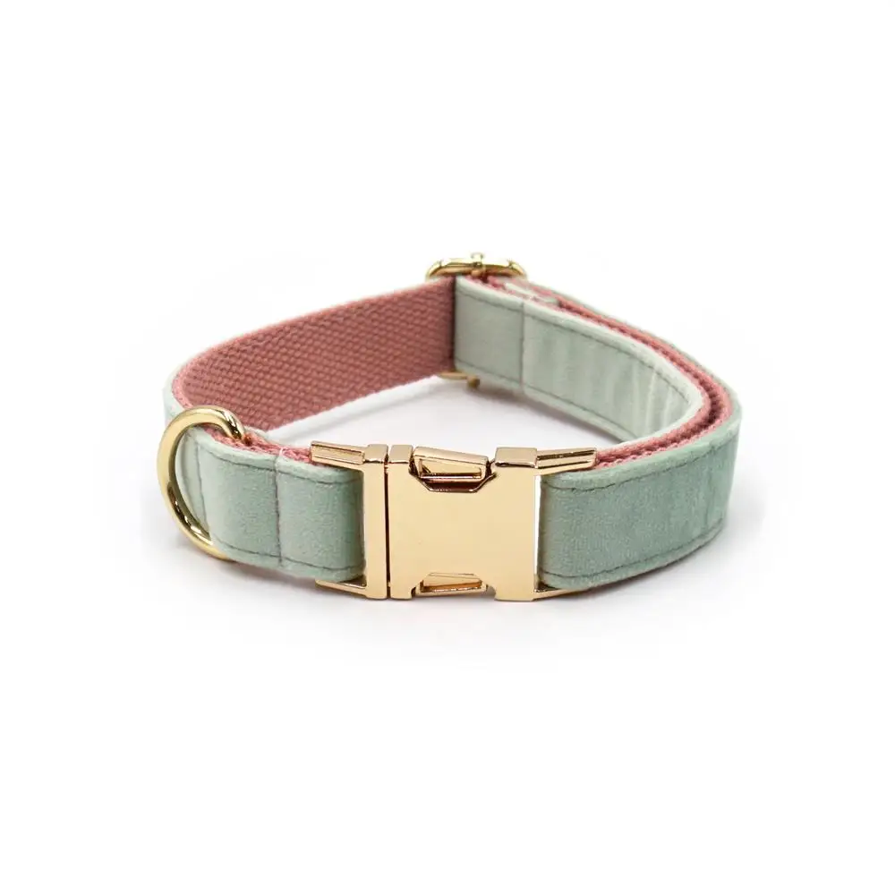 Personalisiertes Hundehalsband aus weichem Samt in mehreren Farben, individuelle kostenlose Gravur, Welpen-Haustierhalsband, passende Leine erhältlich – Detail 23