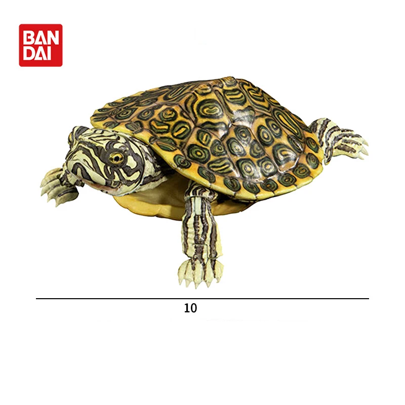 BANDAI Originele Speelgoed Ikemono Taisyou ADVANCE Mauremys Japonica Gacha Beweegbare Anime Action Model Figures Collection