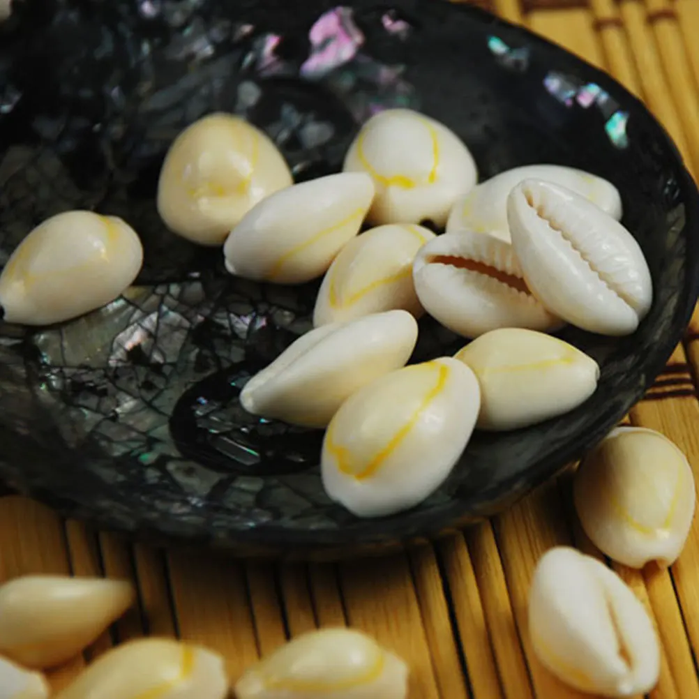 

100Pcs Natural White Conch Shell Accessories Gold Circle Pattern DIY Jewelry Pendant Hanging Art Craft Shell Ornaments