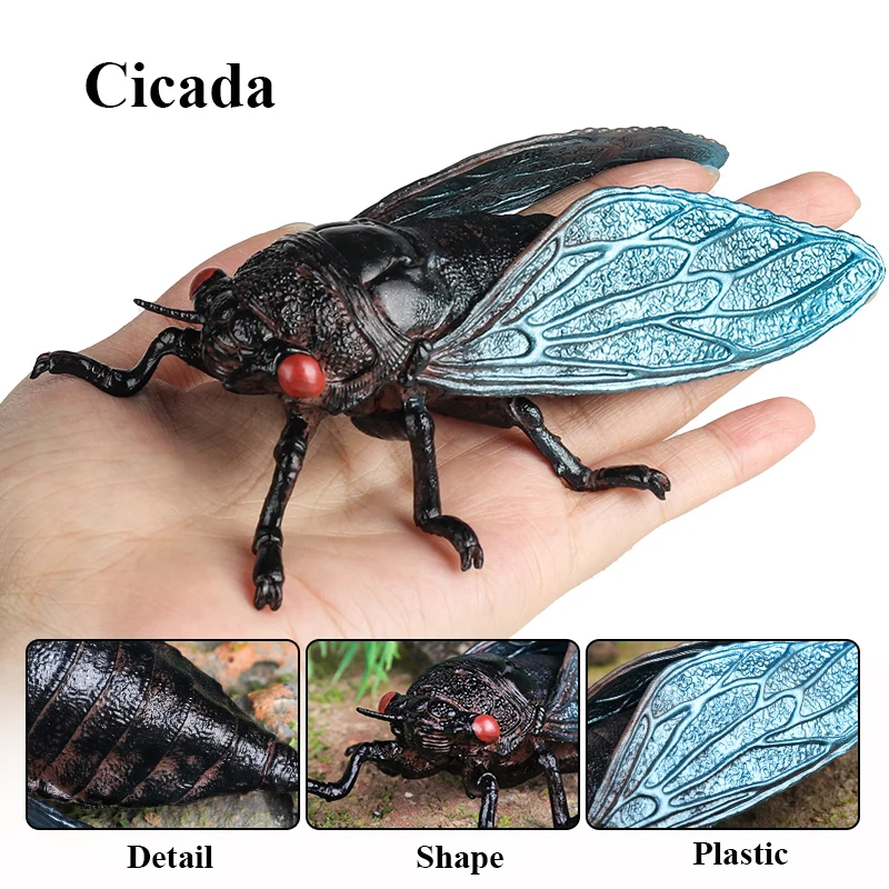 Oenux Insect Animals Model Figurine Butterfly Ant Dragonfly Spider Bee Mantis Scorpion Action Figures Educational Kid Toy Gift