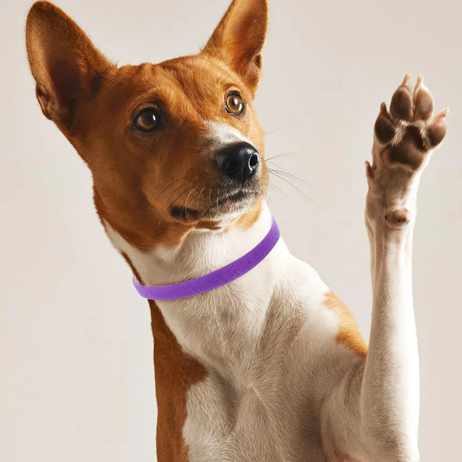 

24Pcs Pet Id Collars Adjustable Soft Lightweight Identification Bands Newborn Puppy Kitten Whelping Collars for Small Dogs Cats