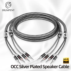 ERUMPENT One Pair HiFi Speaker Cable High Purity OCC Silver Plated Wire With Banana Plug Horn Cable for Amplifier Speaker