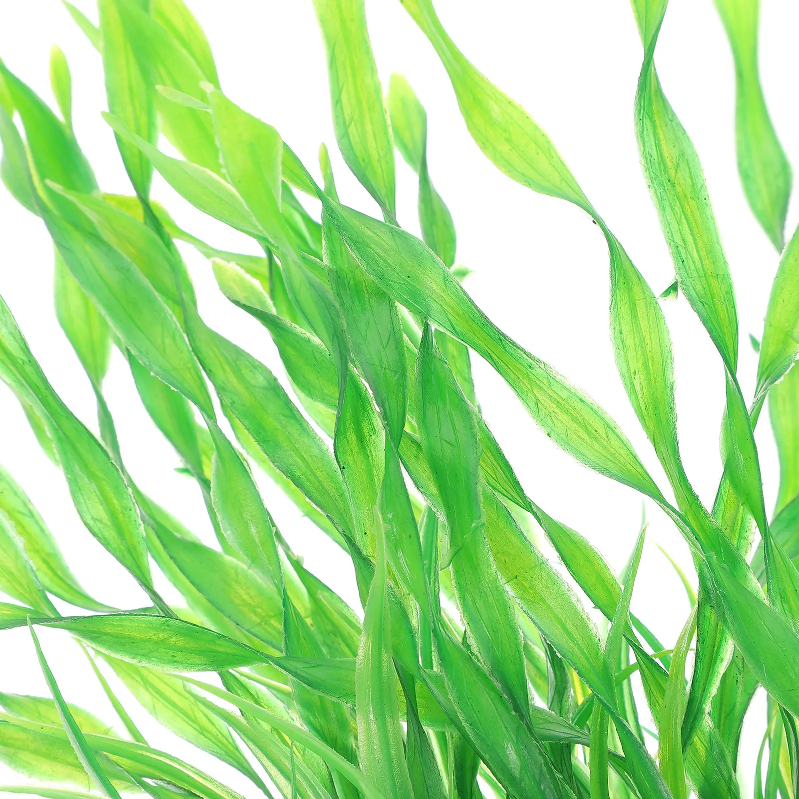 2 ชิ้น ต้นไม้ประดิษฐ์คุณภาพพรี - Non Planted Aquarium Fish บทวิจารณ์และราคา