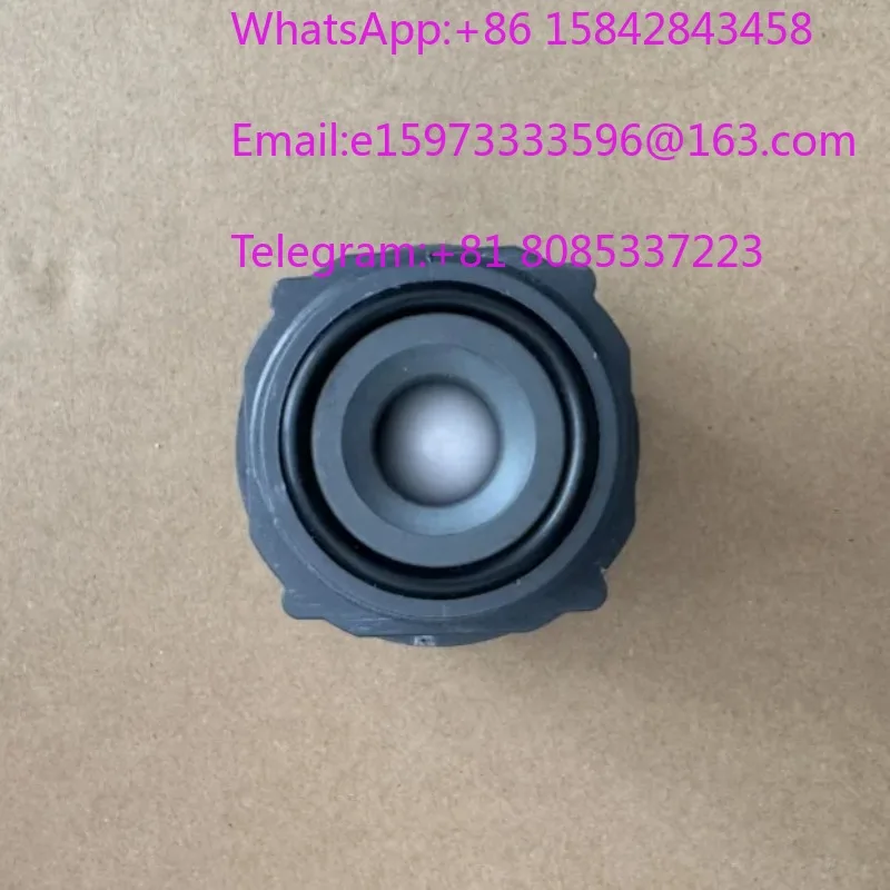 JXM-500/0.5 Check Valve Spare Part for Diaphragm Dosing Metering Pump