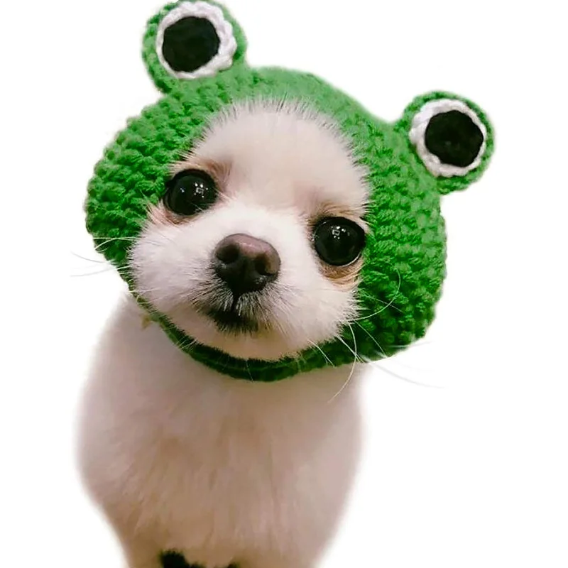 Knitting Wool Pet Hat Cute Cat Headwear Frog Puppy Kitten Hat Handmade Winter Autumn Dog Accessories for Little