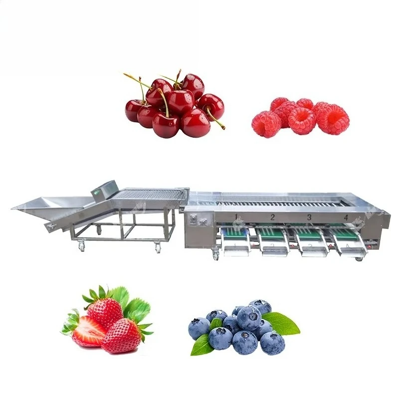 Commercial Sorting Grading Machine Avocado Tomato  Mango Melon Potato Tomato Sorter Machine Fruit Sorting Machine