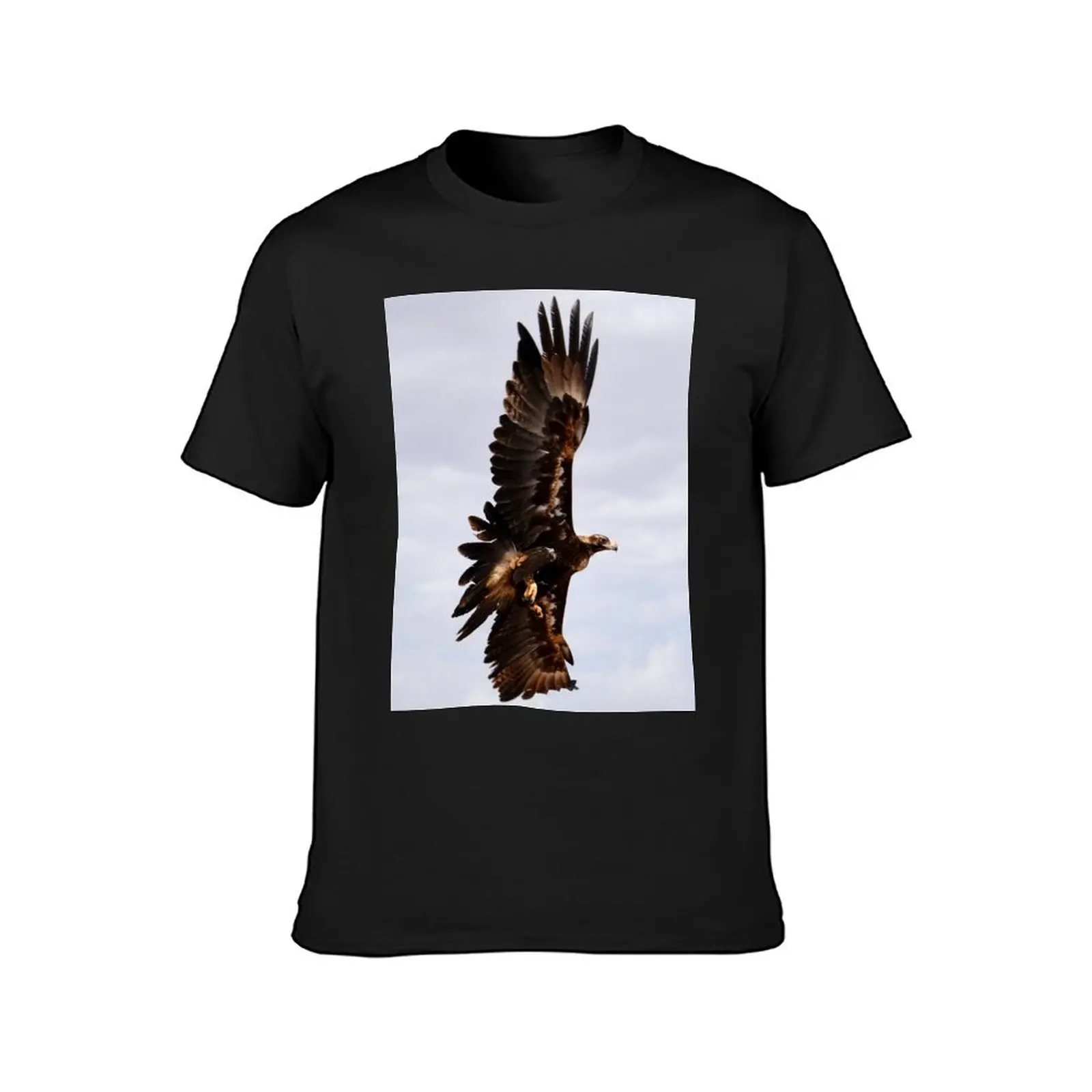 wedge-tailed eagle or bunjil (Aquila audax) Australia T-Shirt vintage customs design your own tops heavy weight t shirts for men