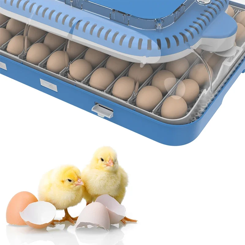 Mini Fully Automatic Hatching Machine For Hatching Baskets Egg 220v 120v Incubator Hatchery