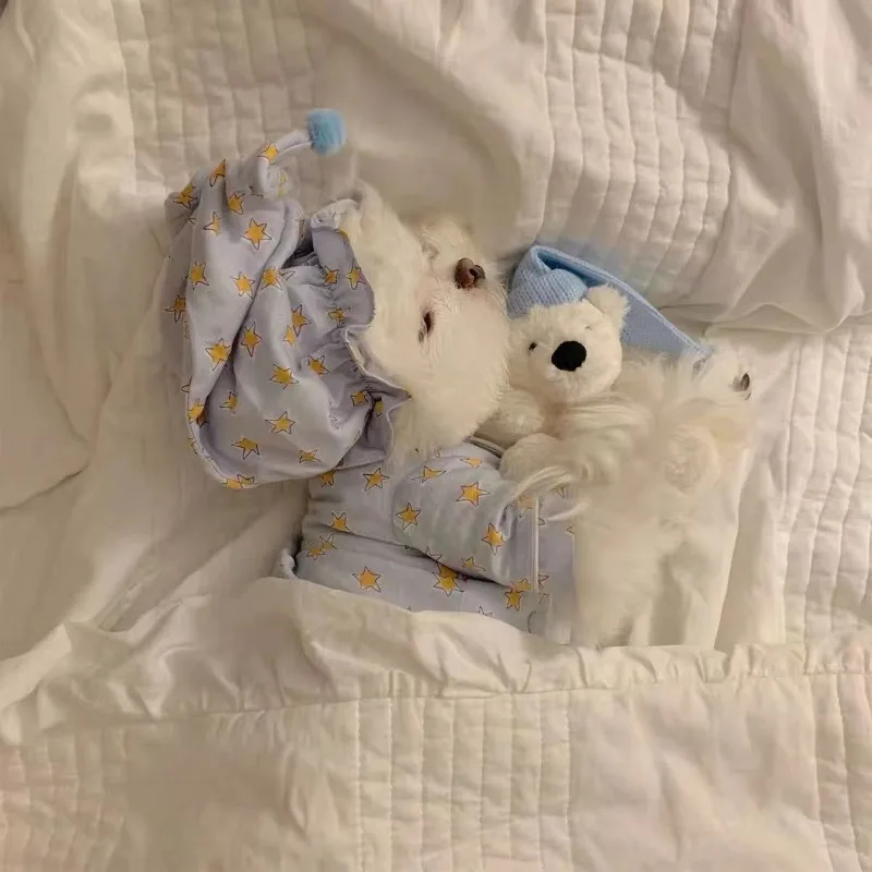 New Korean Spring A… - image