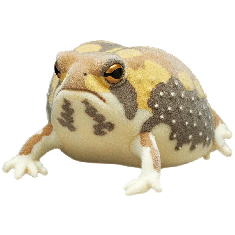 Breviceps Adspersus Gashapon Kolekcja Ozdoba na Biurko Figurka Akcji Model Zabawki Flokowane