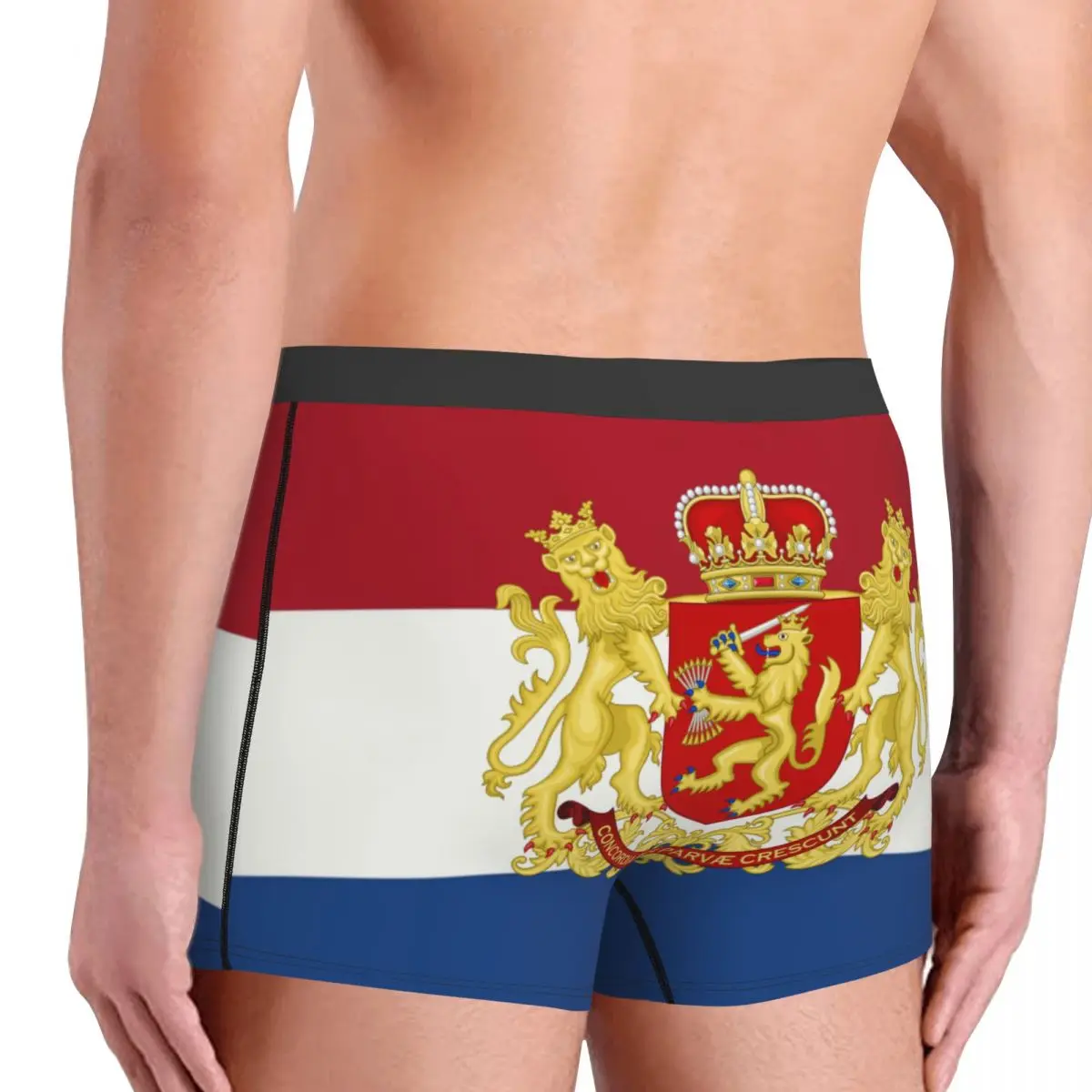 Custom Coat Of Arms Of Netherlands Underwear Men Stretch Dutch Flag Boxer Briefs Shorts Panties Soft Underpants For Homme