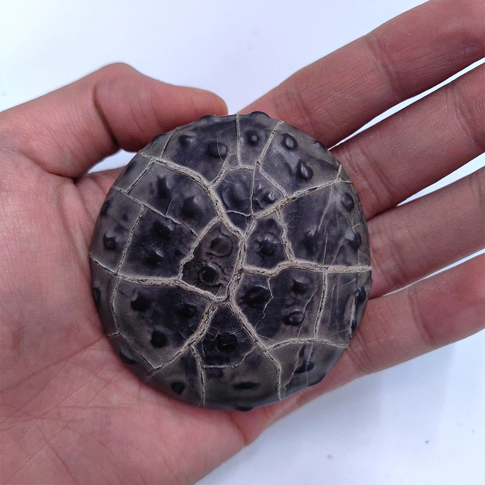 Asian Reiki Rough Natural Stone Decorative Artwork - Home Room Men's Gift Meaningful Symbolism Stone Decoration