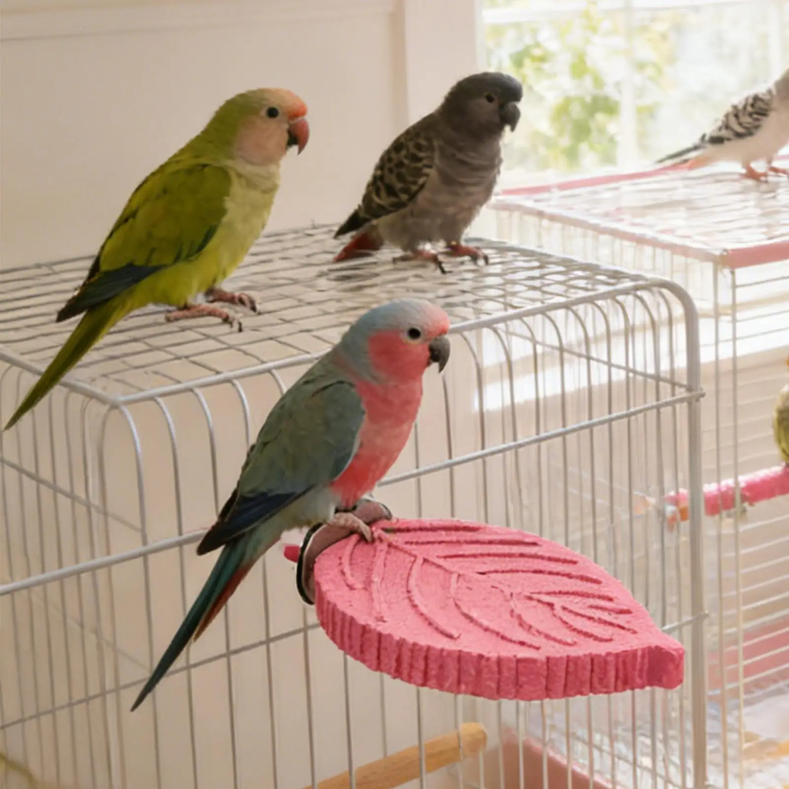 Thumbnail 2 - #2 Bird Perch Stands Comparison Guide