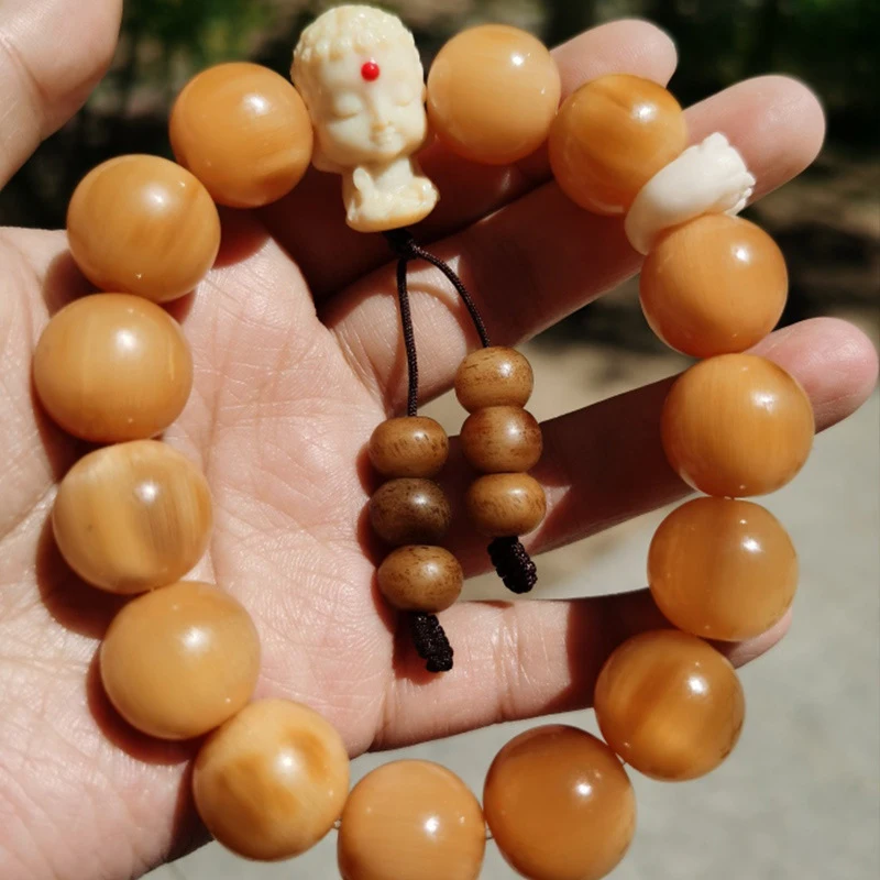 

Turtle shell bracelet for men and women, trendy carved turtle bracelet
