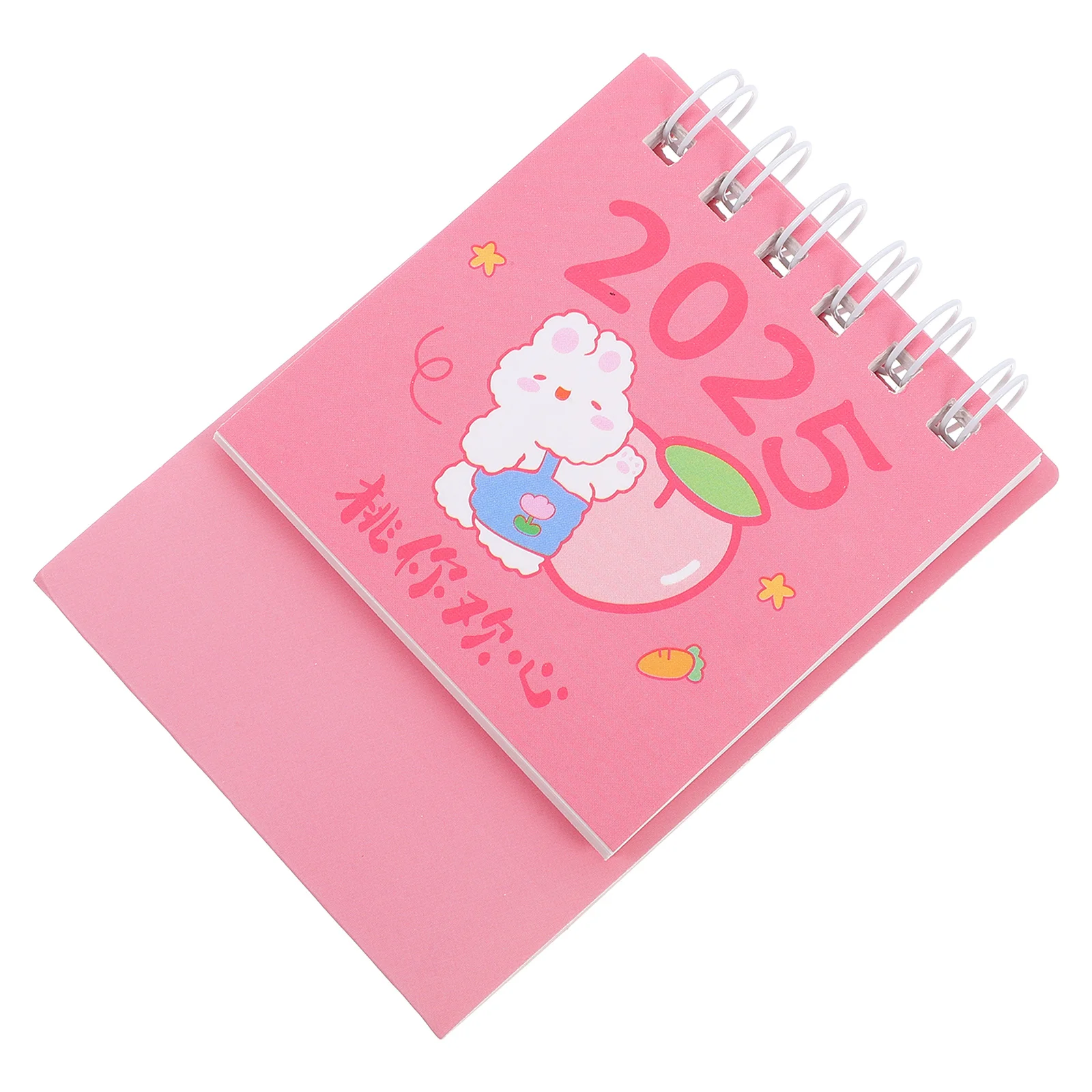 أجندة مكتبية صغيرة لطيف الوردي الأرنب الدائمة الوجه سطح المكتب 2024-2025 التوأم سلك ملزمة مخطط يومي المنزل مكتب المدرسة ديكور #4