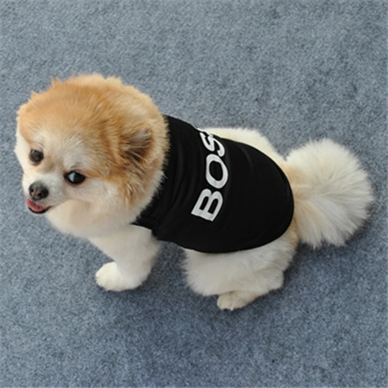 antisocial puppy club aspc dog clothing aliexpress Anti Social Puppies Club main image 0