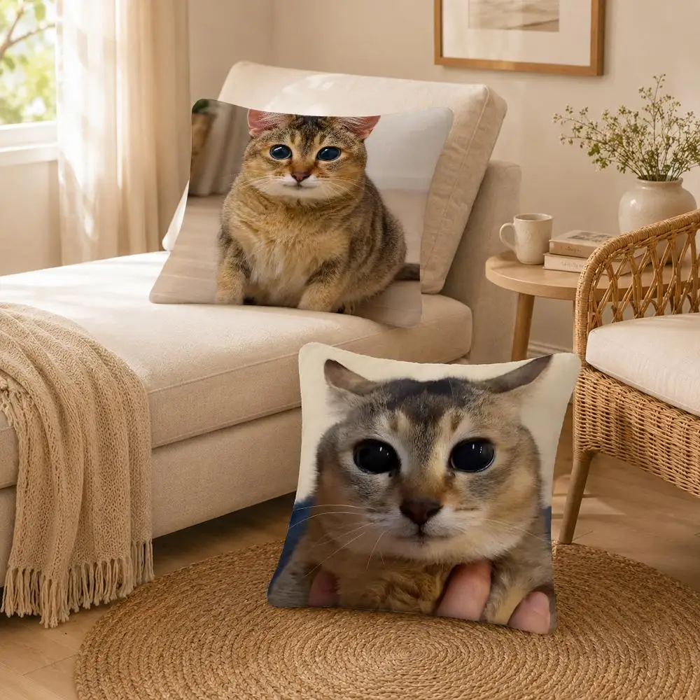 Art Cute Mei Jie Meimei Save Kitty Cushion Cover Soft Throw Pillow Cover Washable Plush Cushion Case for Sofa Bed Living Room