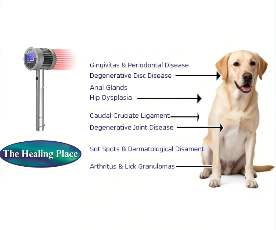 

Оборудование для лазерной терапии 808 нм + 650 нм — многофункциональное устройство с 25 диодами для облегчения дискомфорта шеи и талии