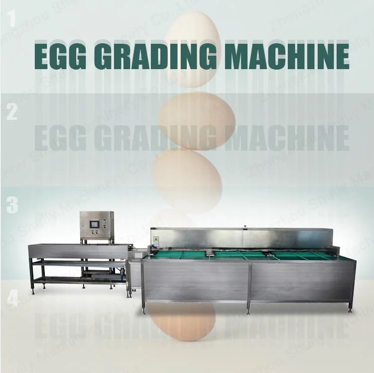 Automatic Egg Washing Machine with Water Circulation Egg Washer Reduce Water Consumption for Farm