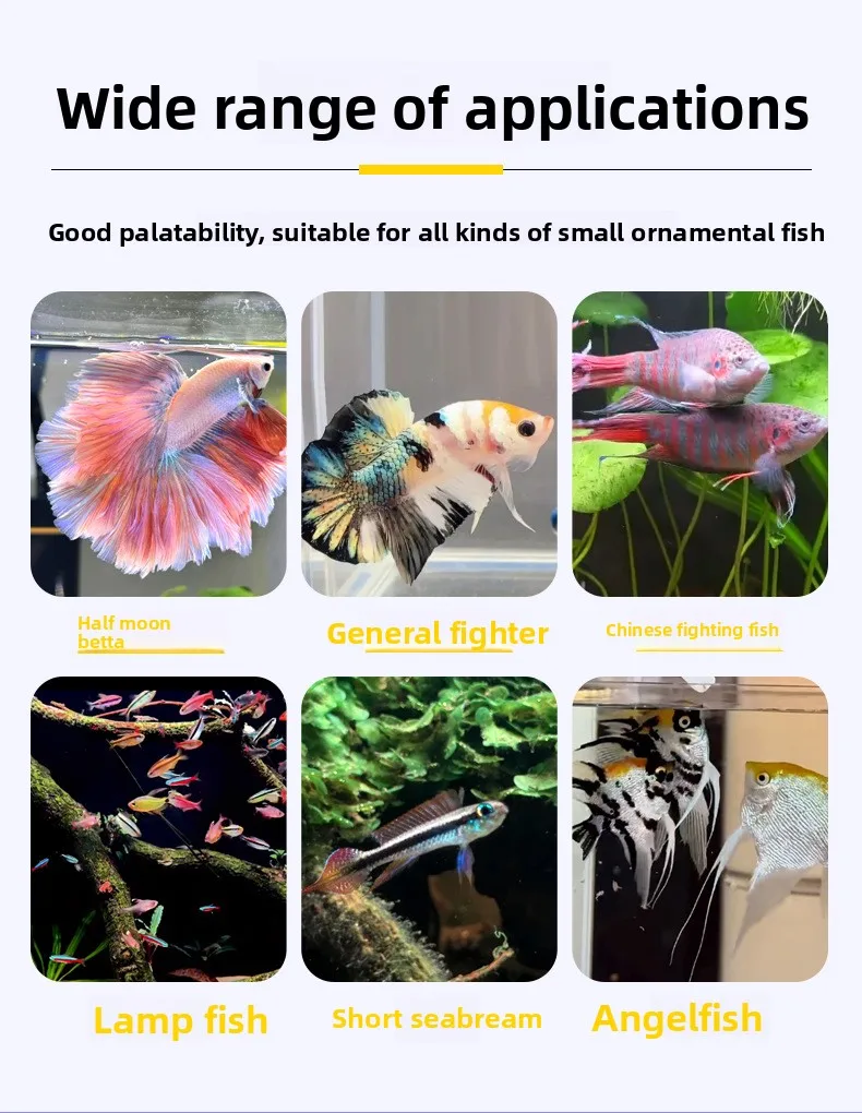 AquaNation Betta Fish Food Pellets,Micro Granules for Siamese Fighting Fish,Guppies,Small Goldfish&Top-Feeding Tropical Fish view 6