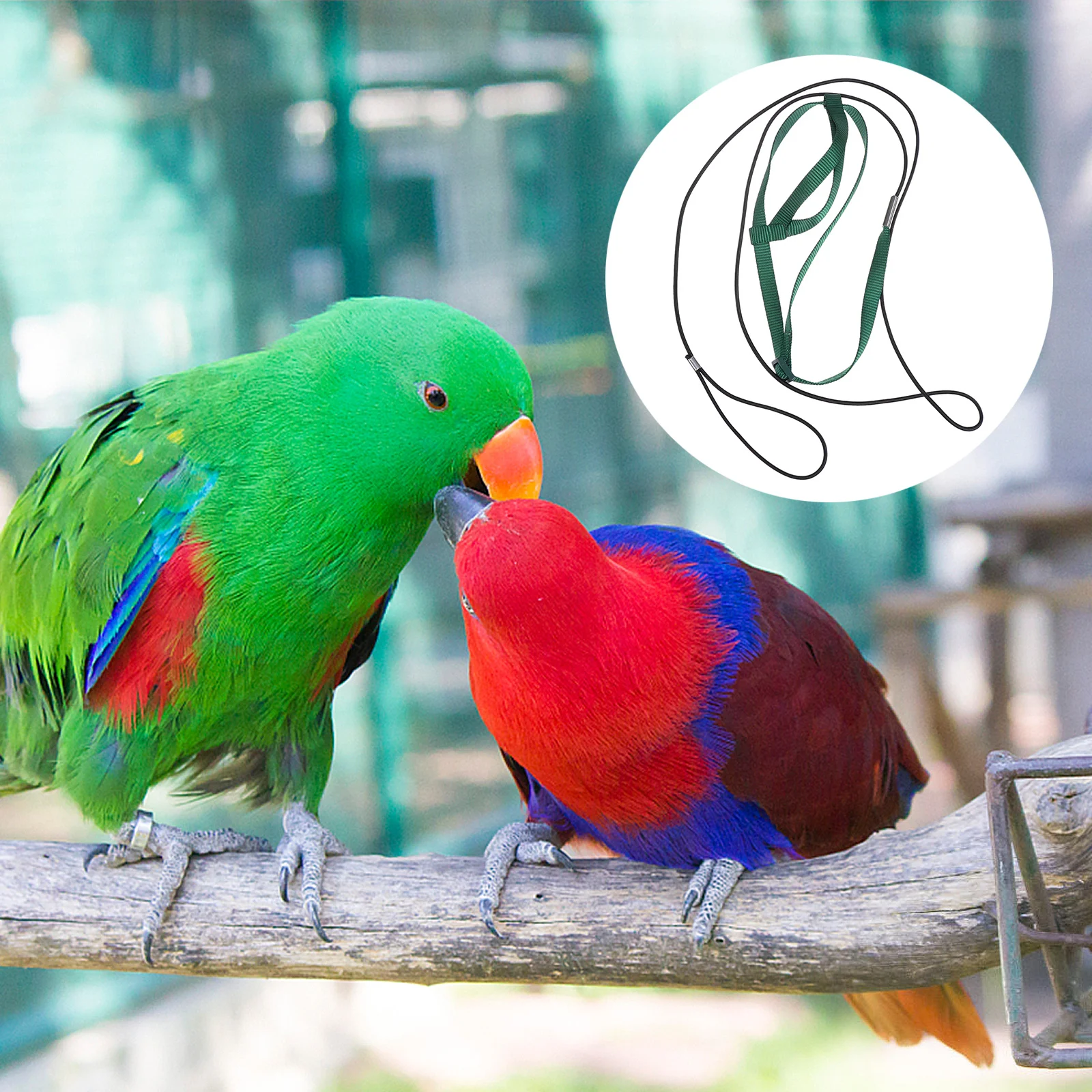 

Parrot Bird Harness Leash Durable Nylon Training Rope Adjustable Elastic Cord Lightweight Flying Pet Parrot Harness Leash