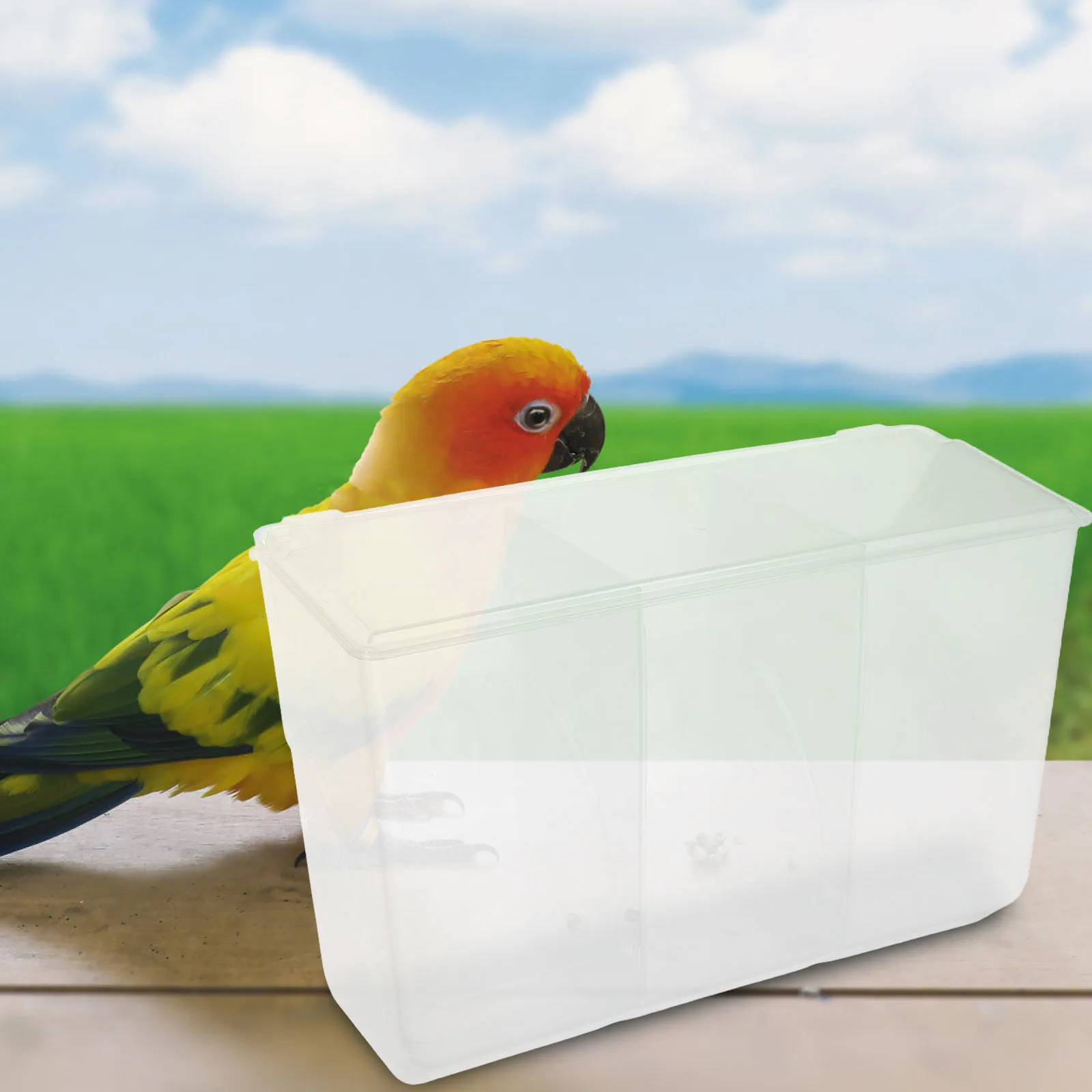 

Pigeon Feeder 3 Holes Anti Sift Drip Box Lightweight Plastic Bird Cage Feeder Pigeon Supplies Quail Parrot Food Bowl Pet