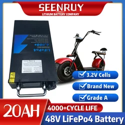 SEENRUY 48V 20Ah Lifepo4 Lithium Battery BMS 16S For 1000W Electric Citycoco With 3A Charger