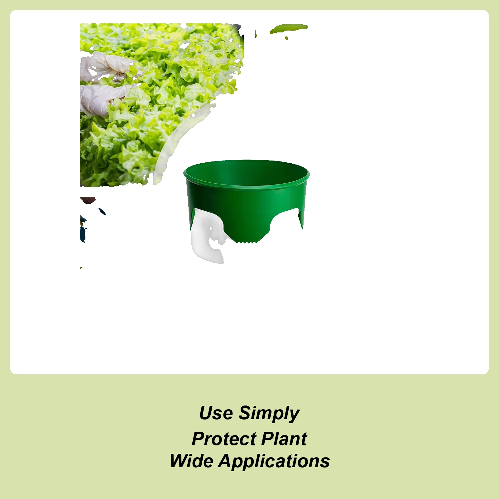 

Planting Rings 6 Pieces Water Saver Round Planting Rings For Outdoor Lawn Yard Greenhouse Vegetable Shrub Flower Bed