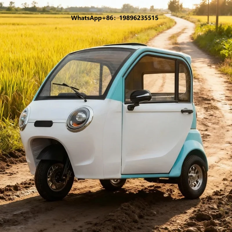 2026 OEM Electric Passenger Tricycle Fully Enclosed 3 Wheels ElectricTricycle Adult 60v Electric Tricycle Electric Tricycles