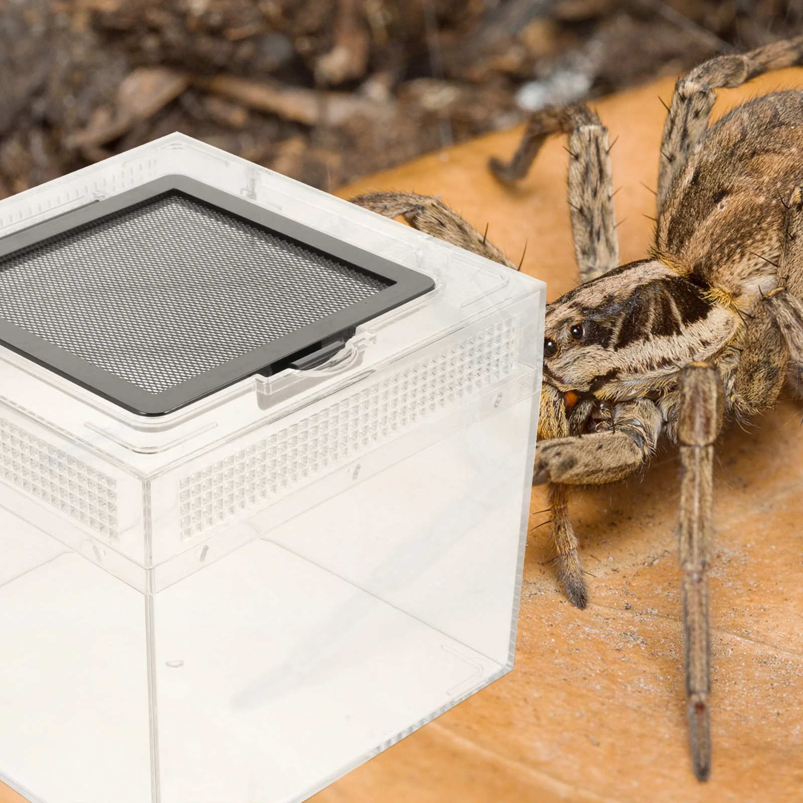 Reptile Feed Bin Spider Enclosure Terrarium Pet Cage High Transparent Breeder Box Lizard Breeding Small Animals - Image 4