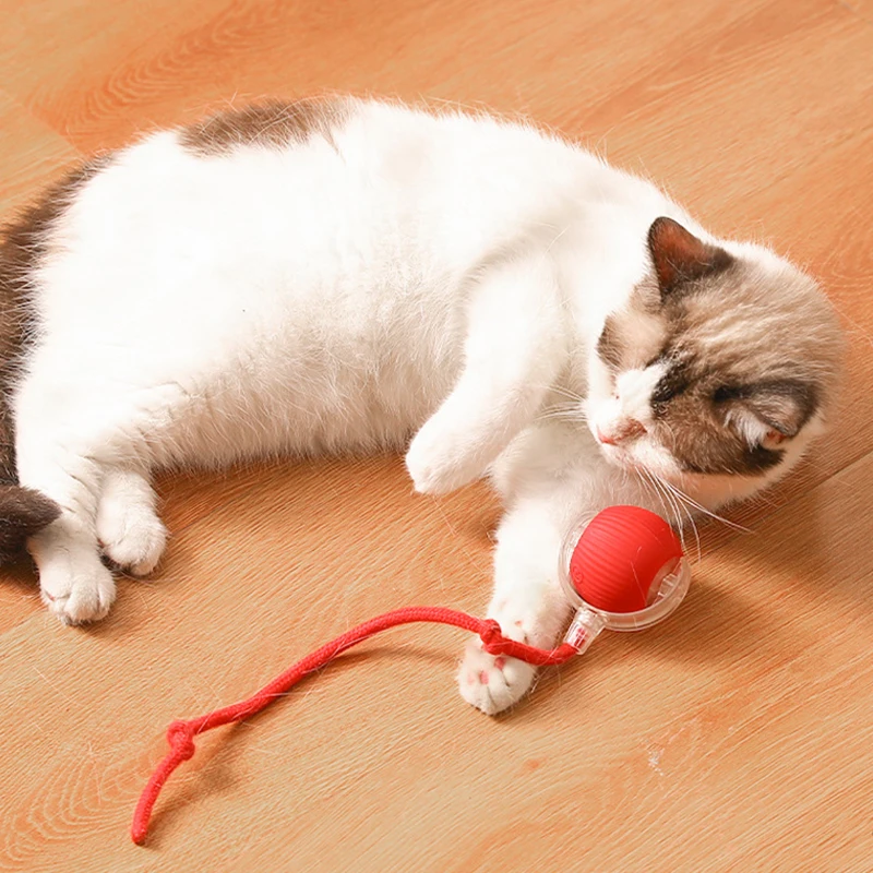 New Cat Toy Intelligent Electric Automatic Rolling USB Rechargeable with Rope Sound Making Toy Ball Home Pet Soothing Supplies