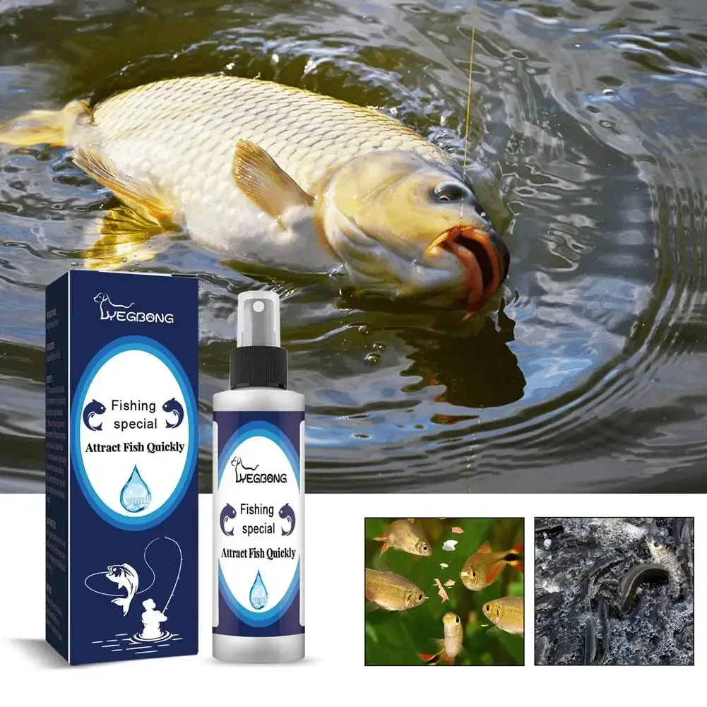 Fishing Baits Attractants Lures Liquid Attractant Natural For Sea River Freshwater Effectively Attract Fishing Accesso