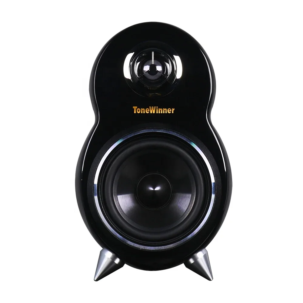 ToneWinner manufactory speaker black fashion design mini speaker two ways portable speaker for computer room